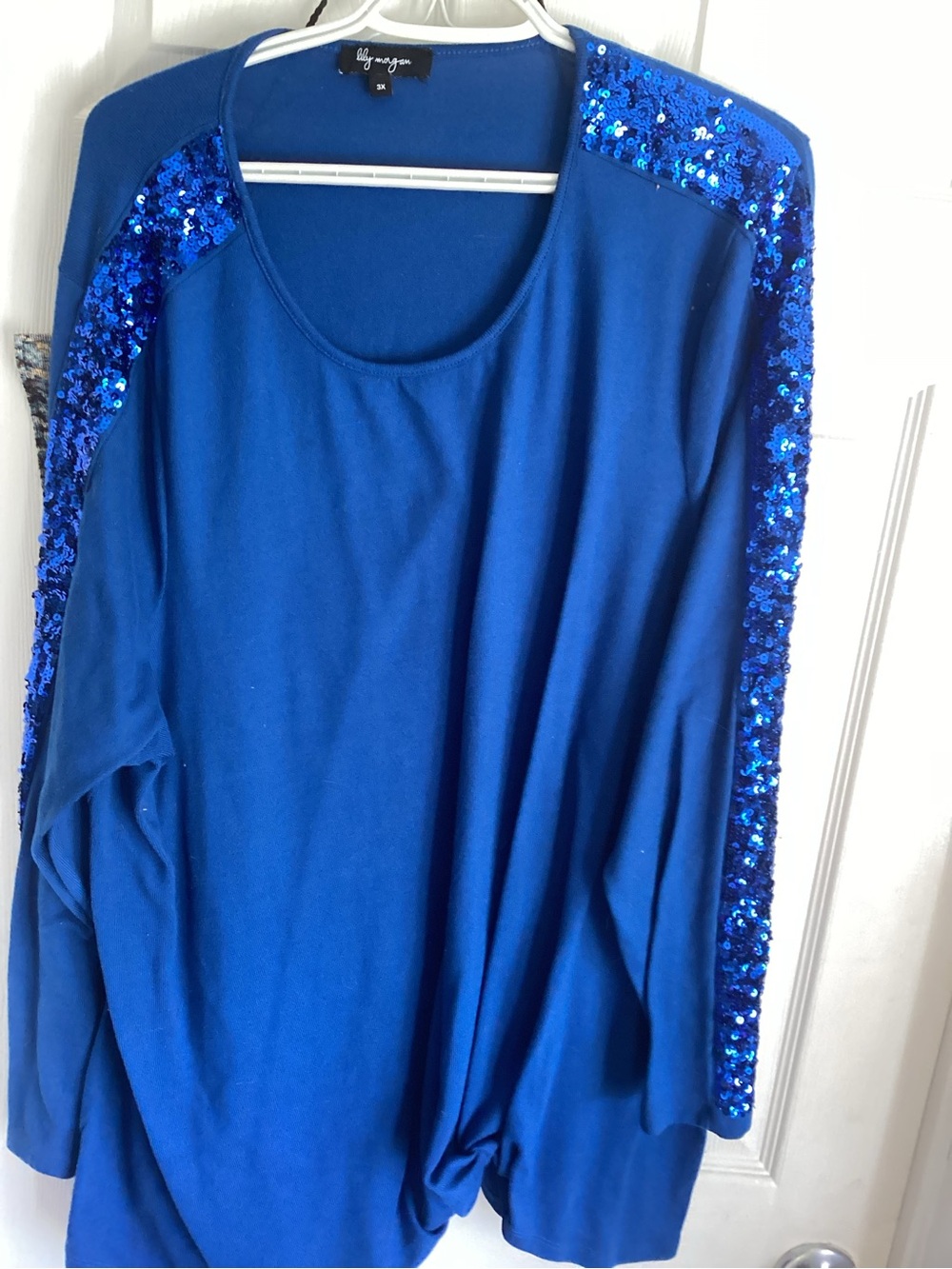 Blue Sequin Sleeve Women's Top